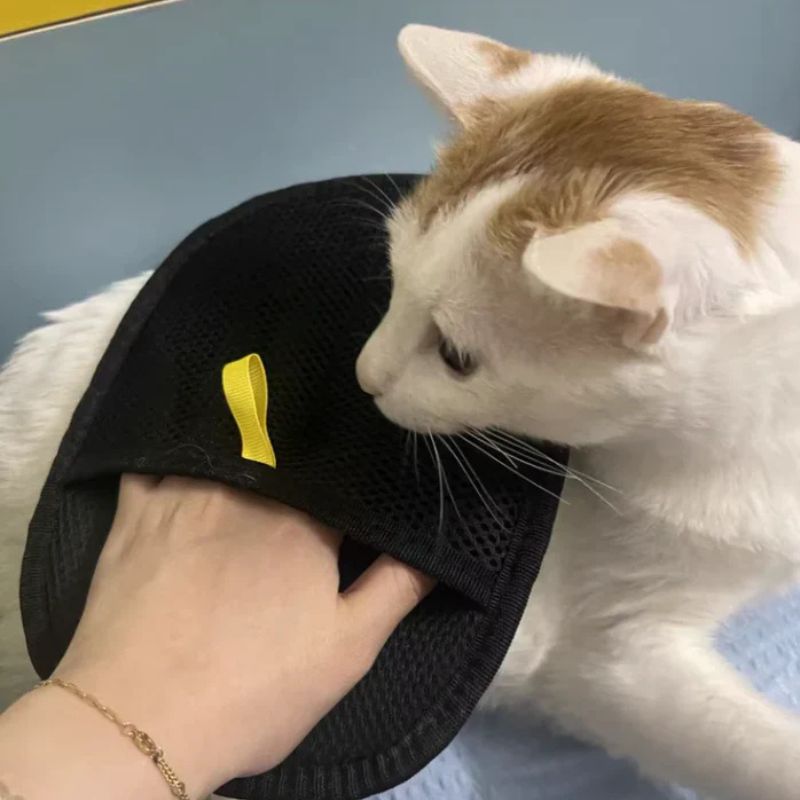 Smol Pet™ - 1# Best Selling Pet Cleaning Glove