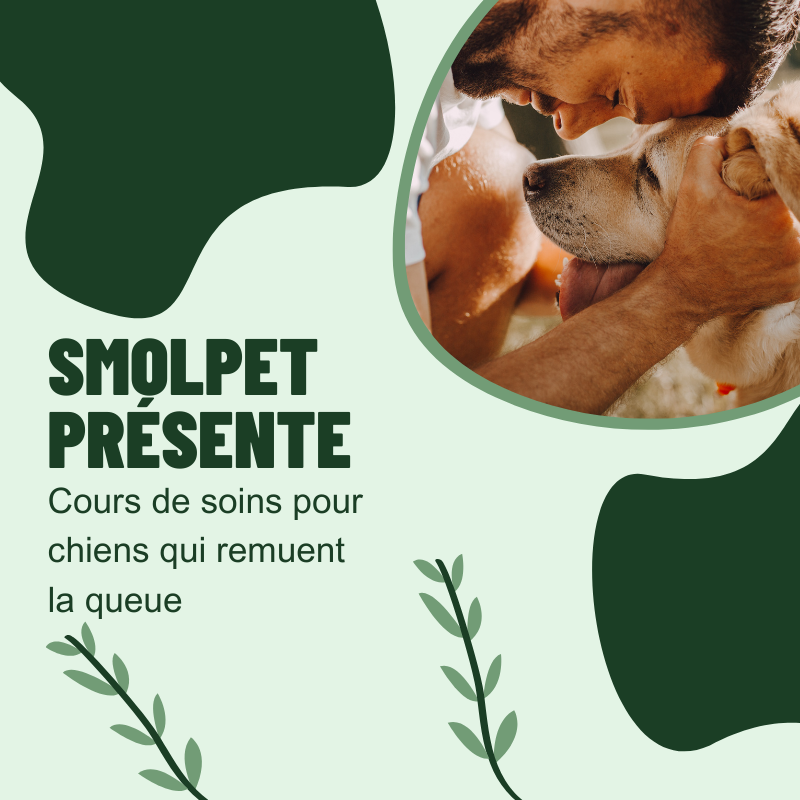 SmolPet™ - Cours de Soins Pour Chiens
