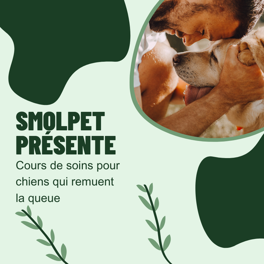 SmolPet™ - Cours de Soins Pour Chiens